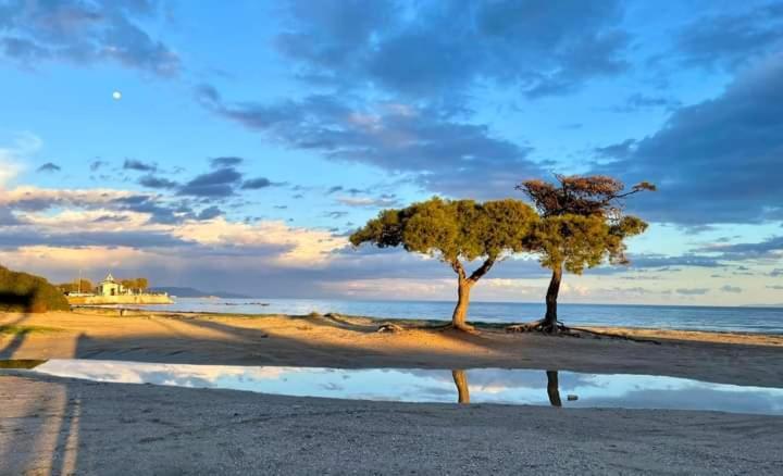 Άνετο Διαμέρισμα Artemida  Bagian luar foto